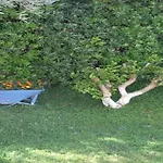 Sokrates Apartmanhotel Afándu