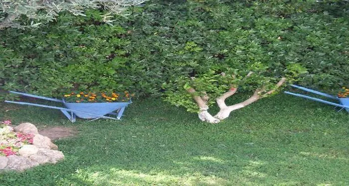 Sokrates Aparthotel Afandou