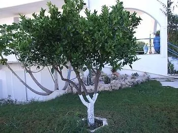 Sokrates Hotel apartamentowy Afandu