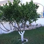 Sokrates 아파트호텔 아판토우