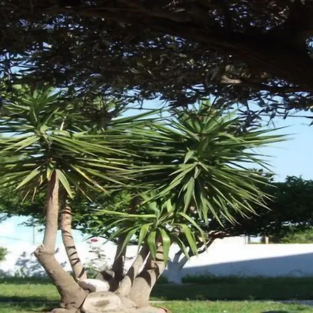 Апарт-отель Sokrates