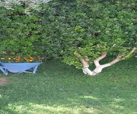 Sokrates Apart-hotel Afantou