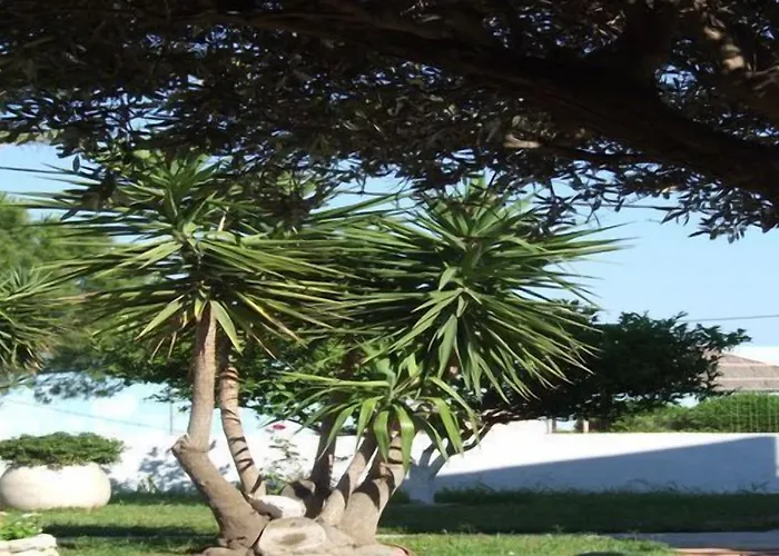 公寓式酒店 苏格拉底公寓