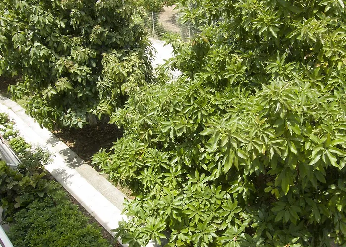 苏格拉底公寓 4* 阿凡投